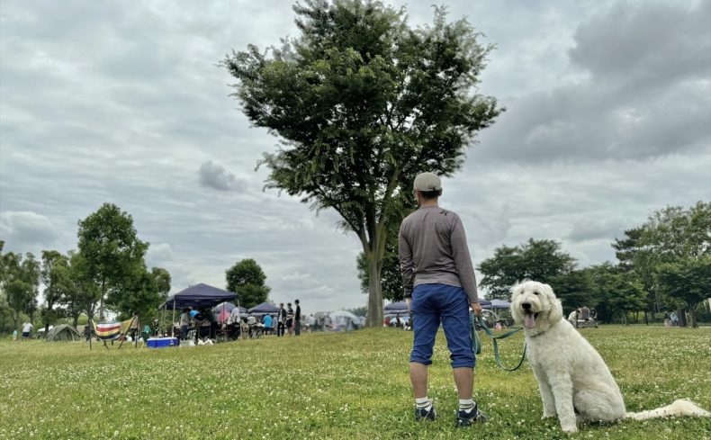 舎人公園（足立区）のドッグランで遊ぼう！～椎名前太の犬と楽しむ公園ガイド