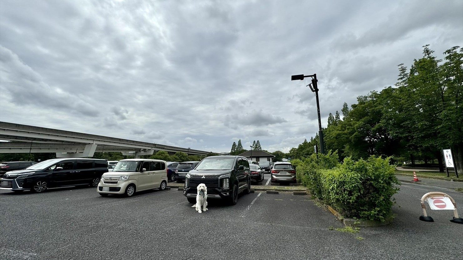 舎人公園の第1駐車場。ドッグランはここから数十m離れた場所にある