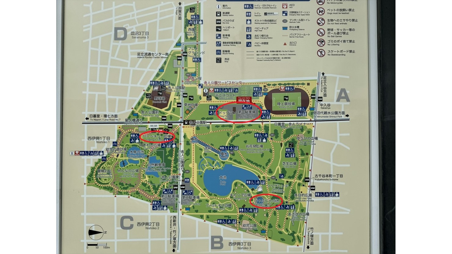 画像真ん中の第1駐車場からスタートして、園内を一通り散歩する予定