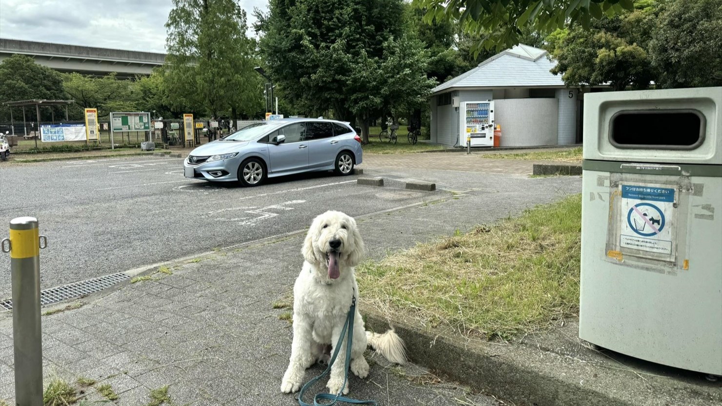 舎人公園のドッグランの前には、立派なトイレとゴミ箱があった