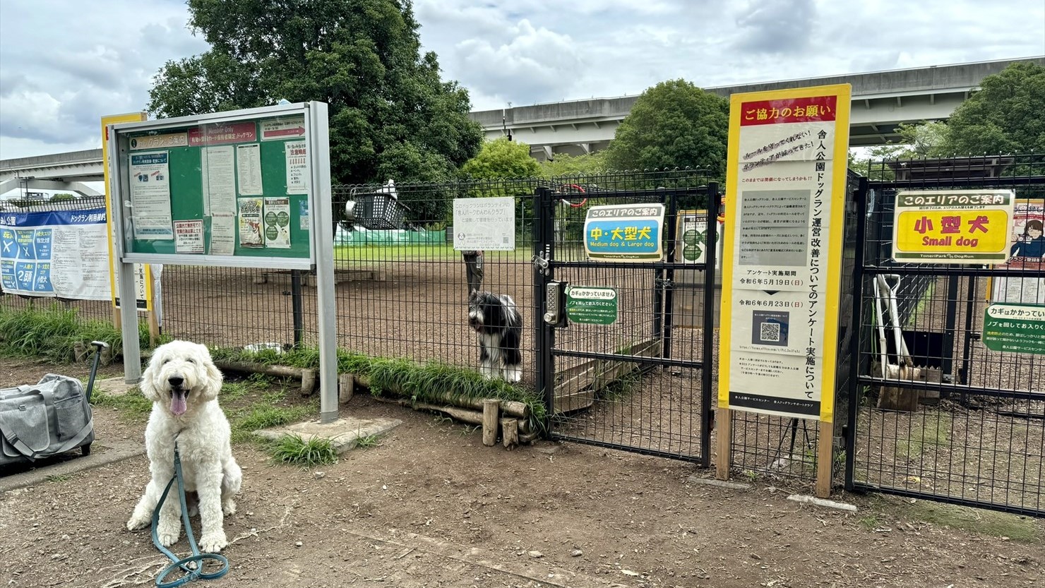 舎人公園ドッグランの入口。中･大型犬エリアと小型犬エリアに分かれている