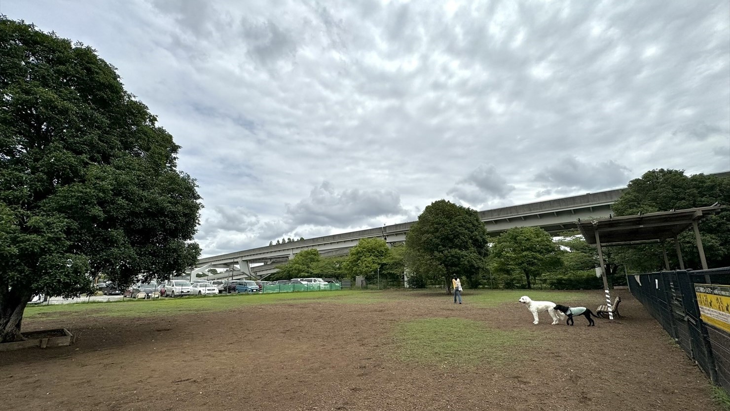 舎人公園のドッグランに日陰になる場所は少ない