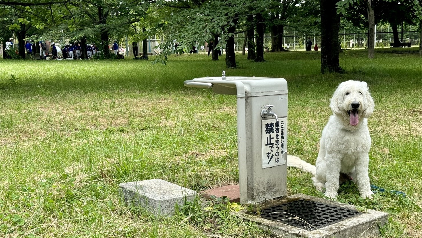 舎人公園内に複数あった水道