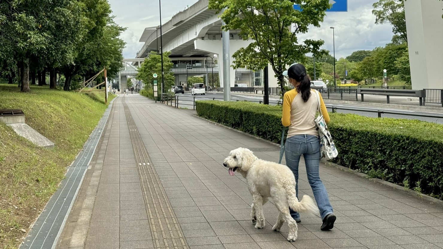 横断歩道が遠いので結構歩く――。