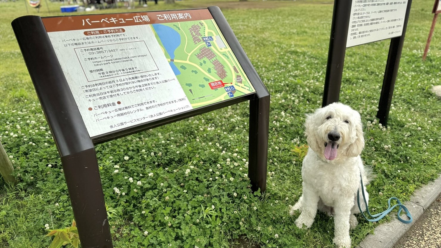 バーベキュー広場の入口。奥のタープの下でたくさんの人が肉を焼いていた