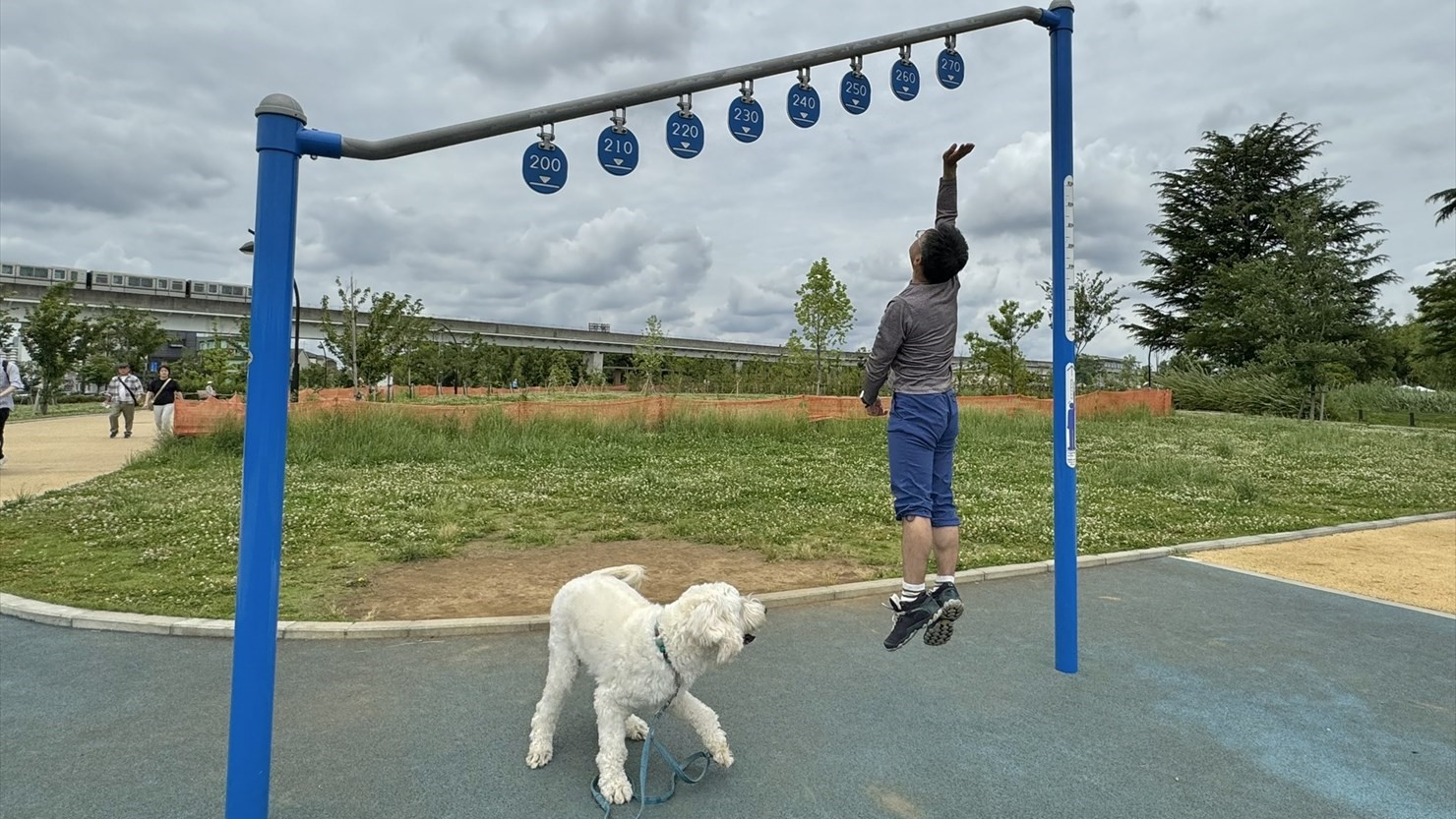 250cmにぎりぎり届く結果に。学生時代なら270cmも余裕で触れたのに悔しい……。