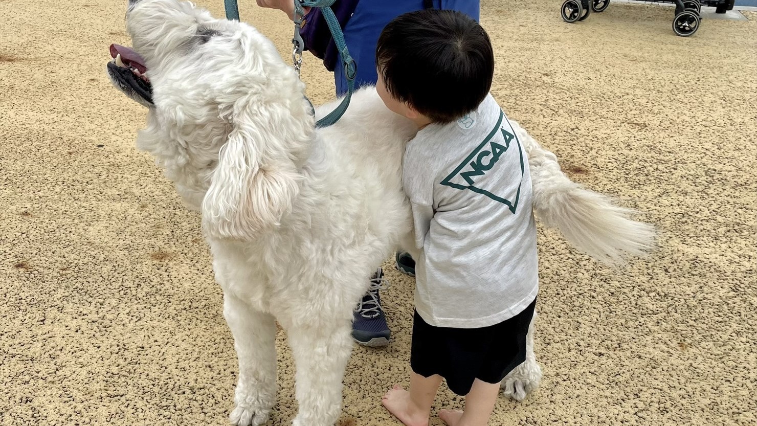 何度も何度も全身で泰楽を「むぎゅ～っ！」