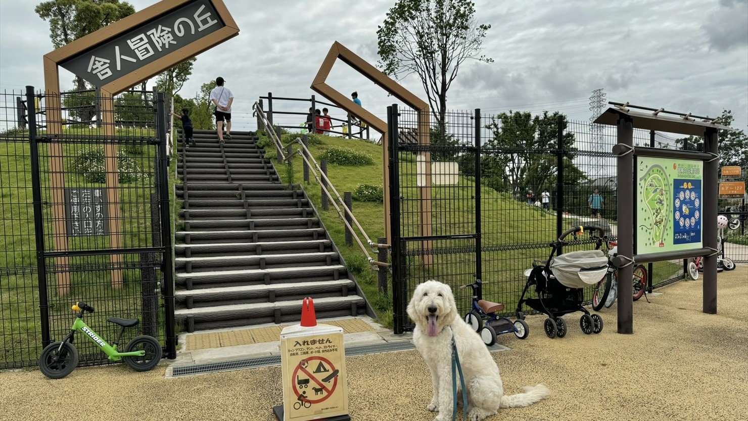 冒険の丘入口。フェンスに囲まれて残念ながらワンコは入れない