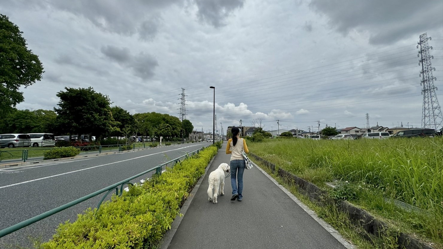 自然観察園から大池へ移動する道のりは意外に遠い――。