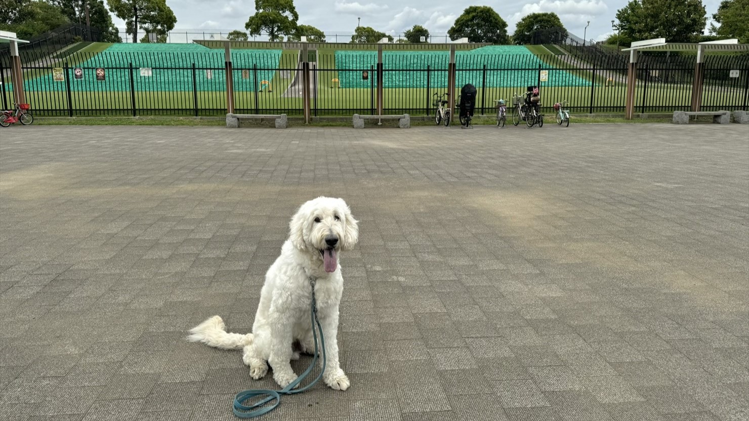 舎人公園のソリゲレンデ。このときは12時から13時の休憩時間で誰もいなかった
