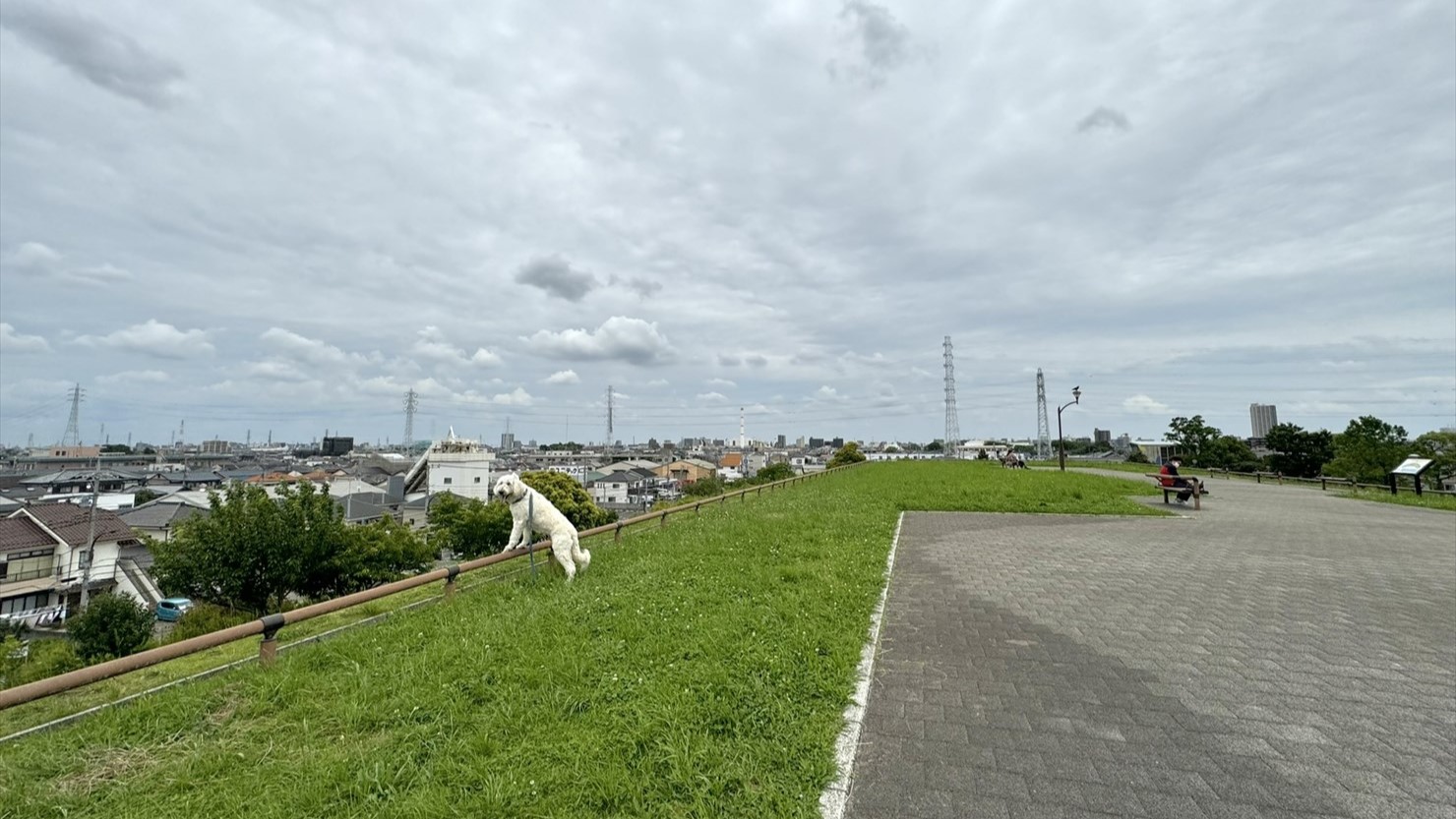 舎人公園のあさひの広場。空気が澄んでいると東京タワーや富士山を一望できるそうだが、この日は高曇りでなにも見えなかった
