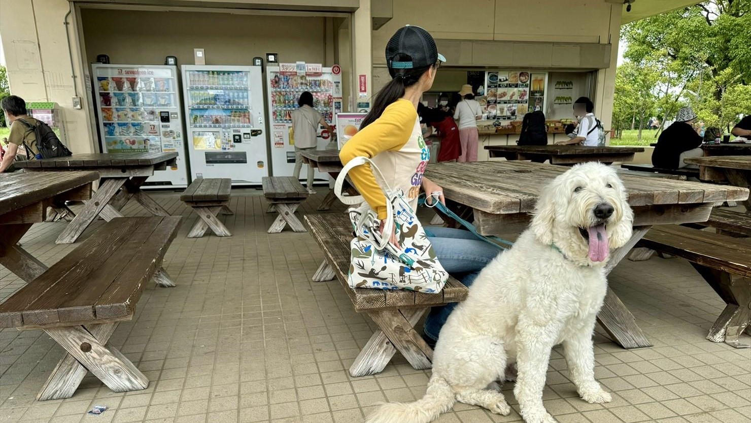 パークス夕日の丘店。ここでやっと一休み。熱々のやきそばをいただいた