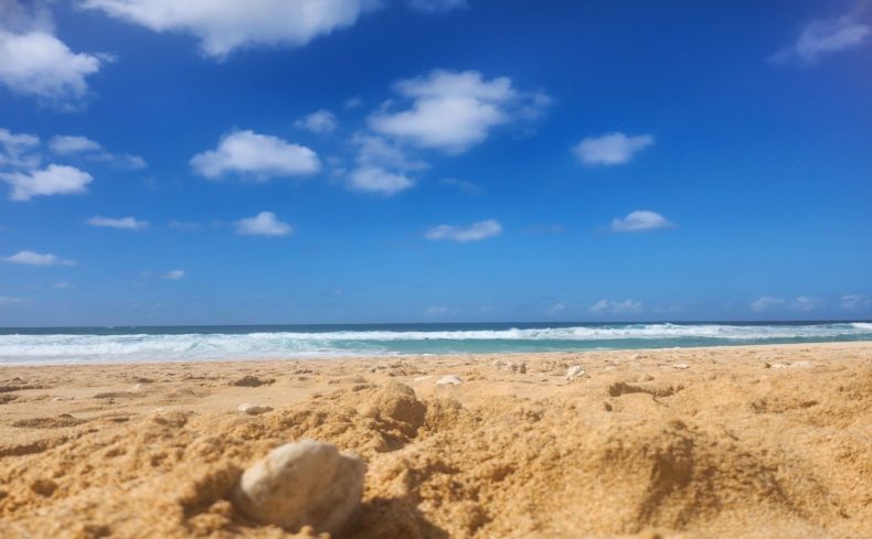 避紛地で花粉症から逃れよう！当事者が語るストレスフリーのおすすめの地域”10選”