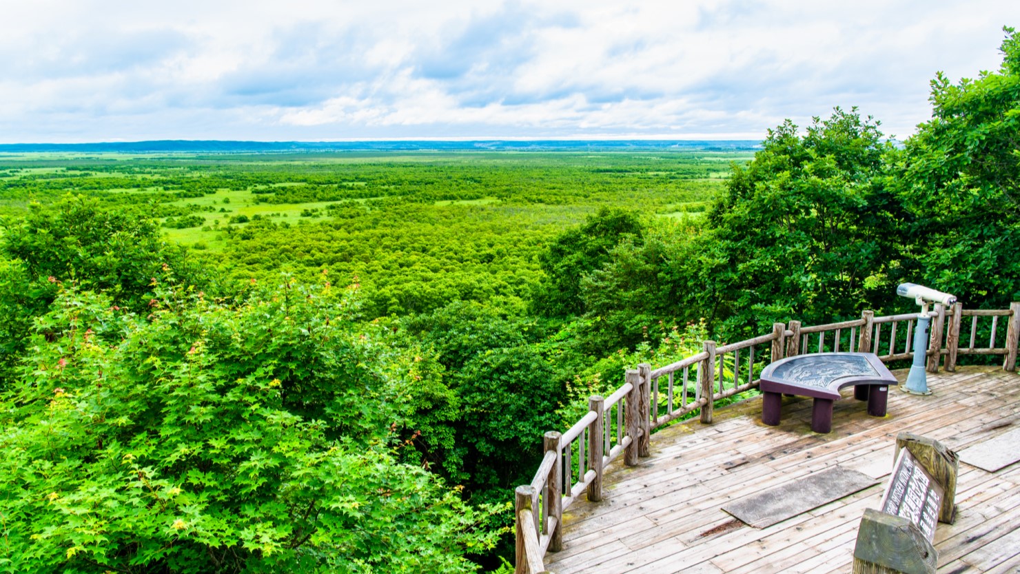 釧路市湿原展望台からの景色