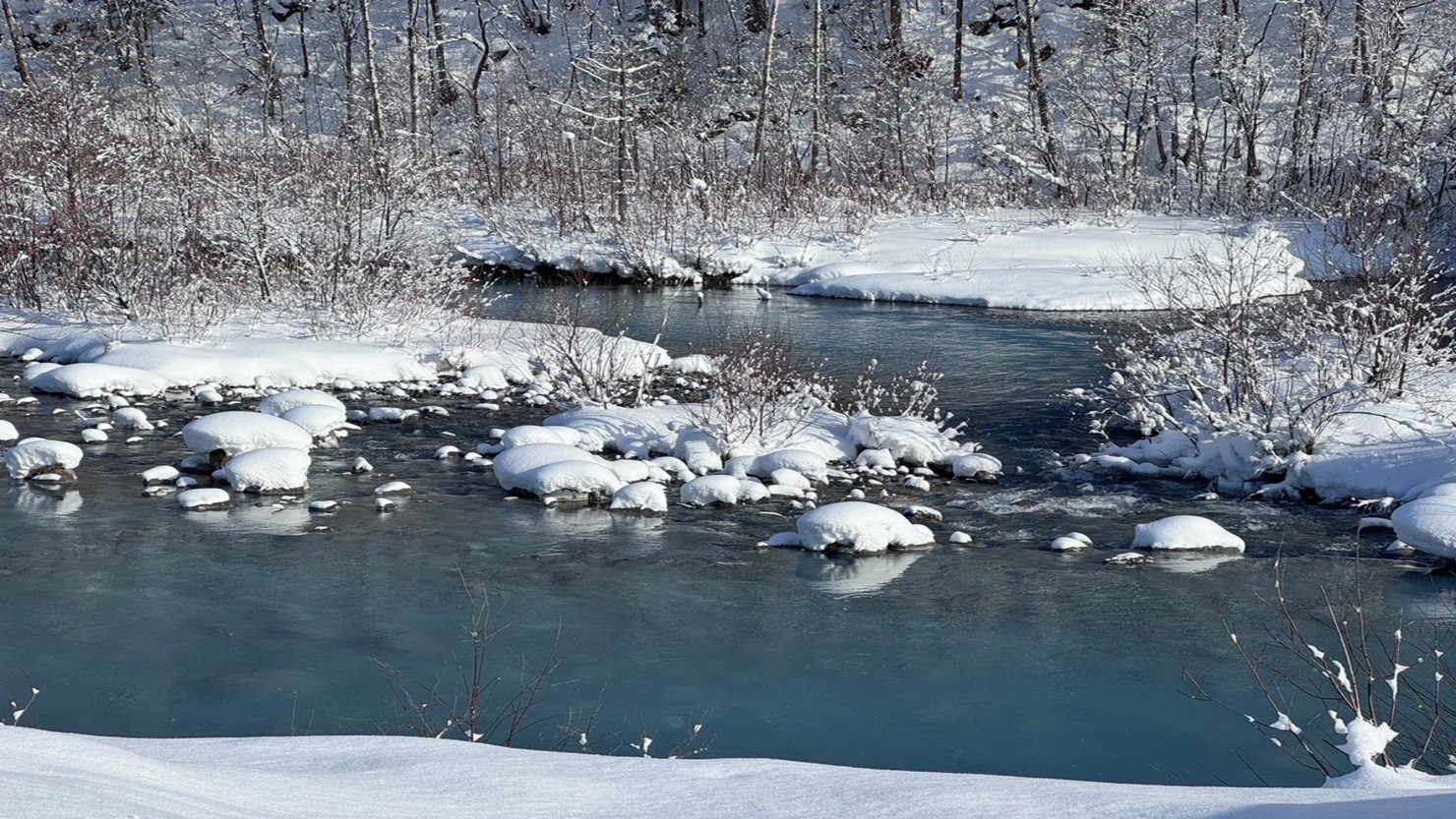 自然豊かな北海道