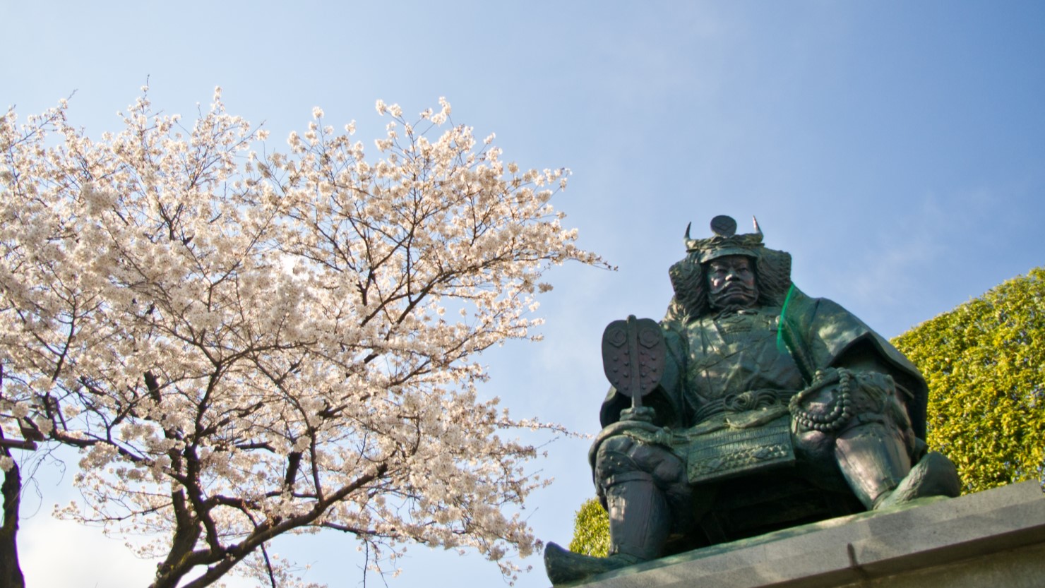 甲府市の公園は学びも叶う