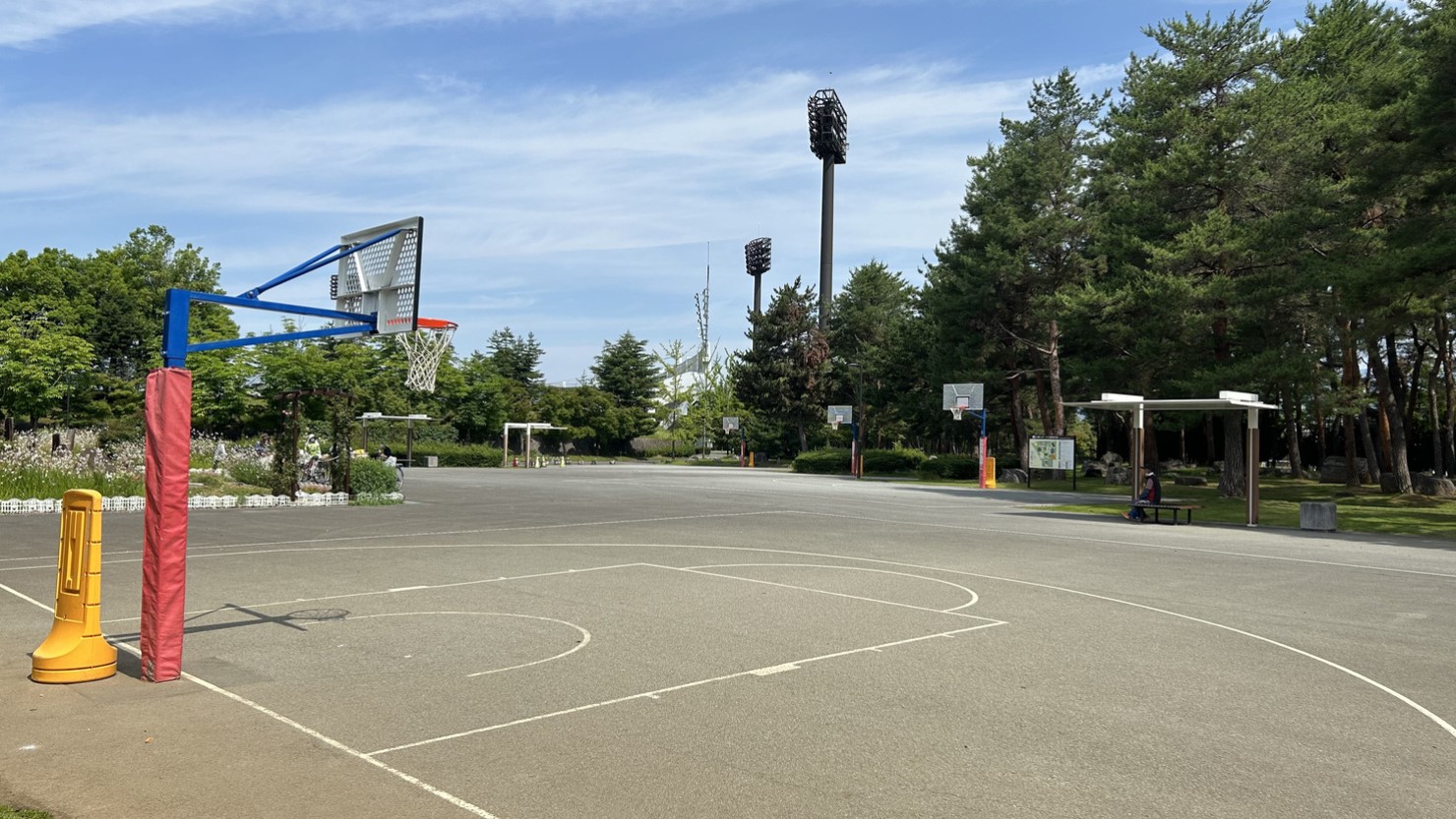 複数設置されているバスケットゴール