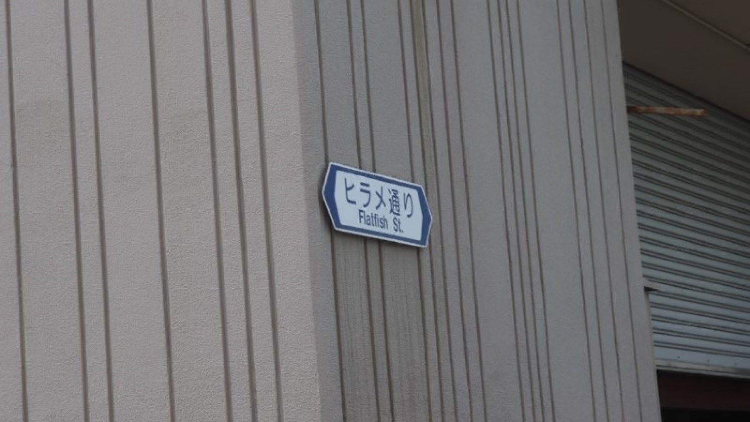 「ヒラメ通り」市場の敷地内の道路には市場に馴染み深い名称が……。「ヒラメ通り」のほか、「ニンジン通り」「キャベツ通り」「サンマ通り」。かわいい 