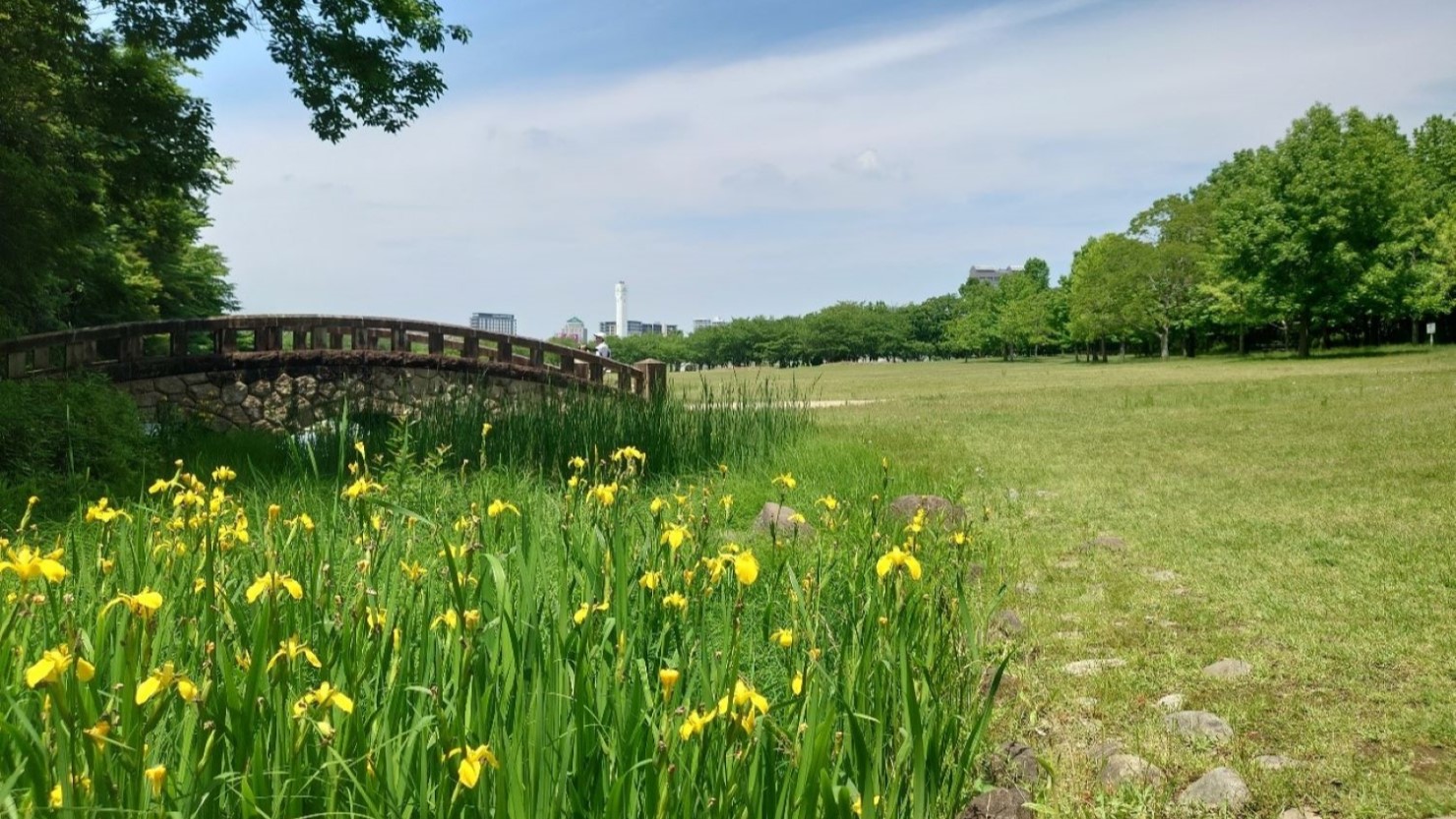 四季折々の自然を感じられる県立北総花の丘公園