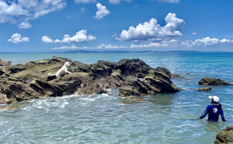 大人も夢中になれる！磯遊びの魅力とはじめ方。必要な道具やおすすめスポットもご紹介