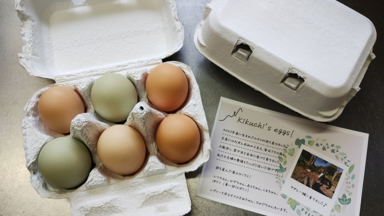 ニワトリの卵は宿のお客さんにも販売中で地味に売れている