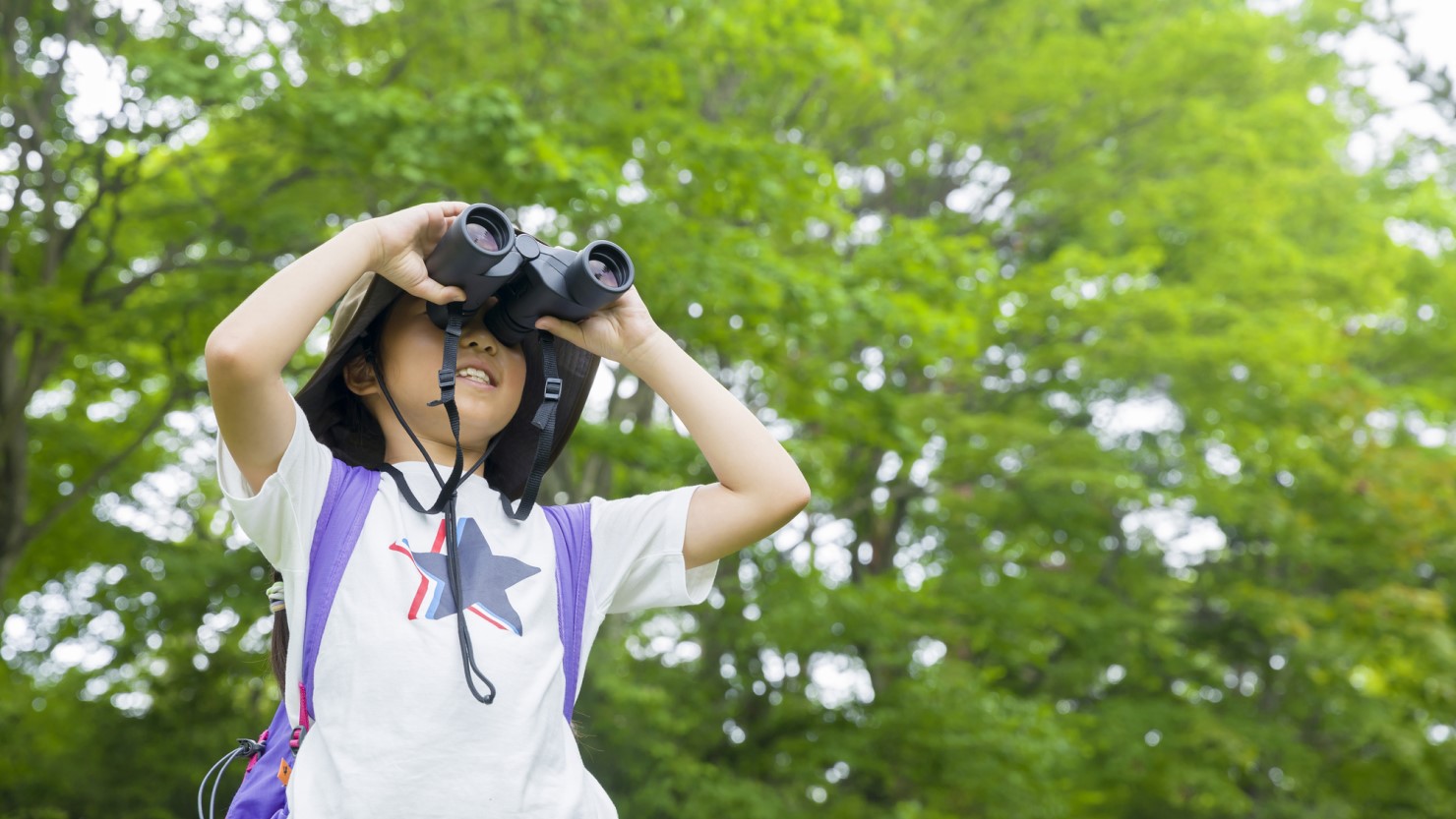 探求型の学びを積極的に取り入れている