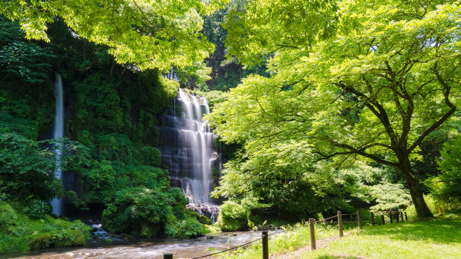 富士山の雪解け水が湧き出る名水の街