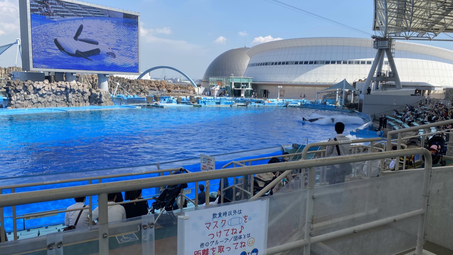 名古屋港水族館