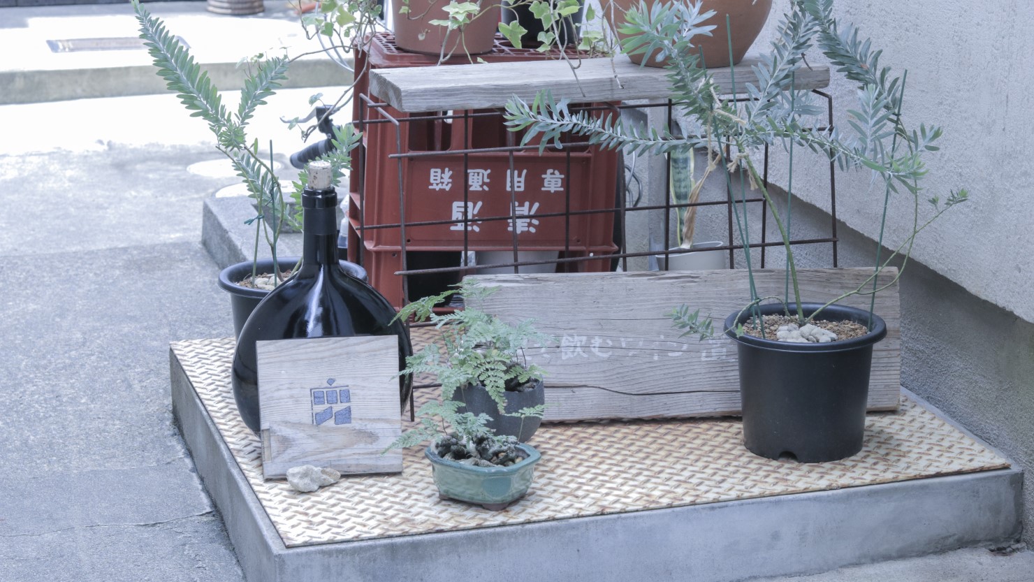 細い路地の先に見えてくる木の看板がお店の目印