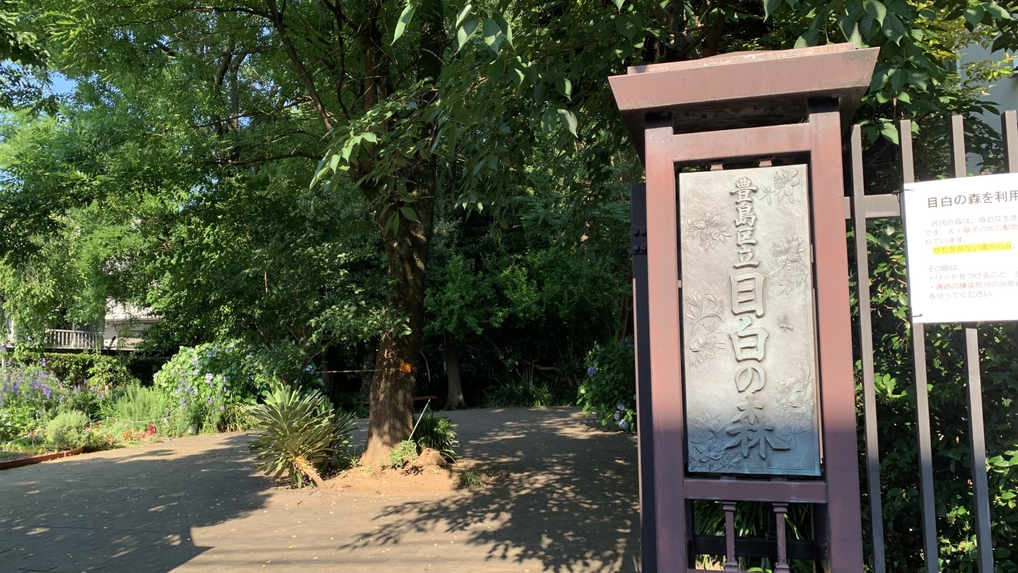 目白の森 