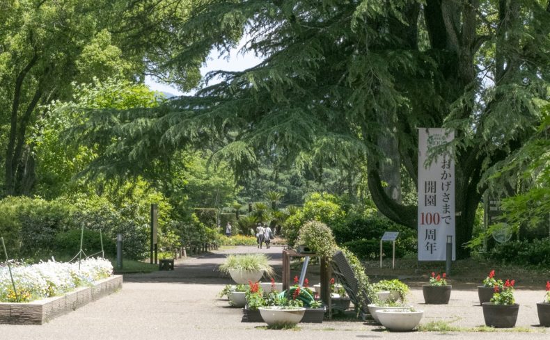 開園100周年を迎えた京都府立植物園。改めて知っておきたい、園の歴史と魅力