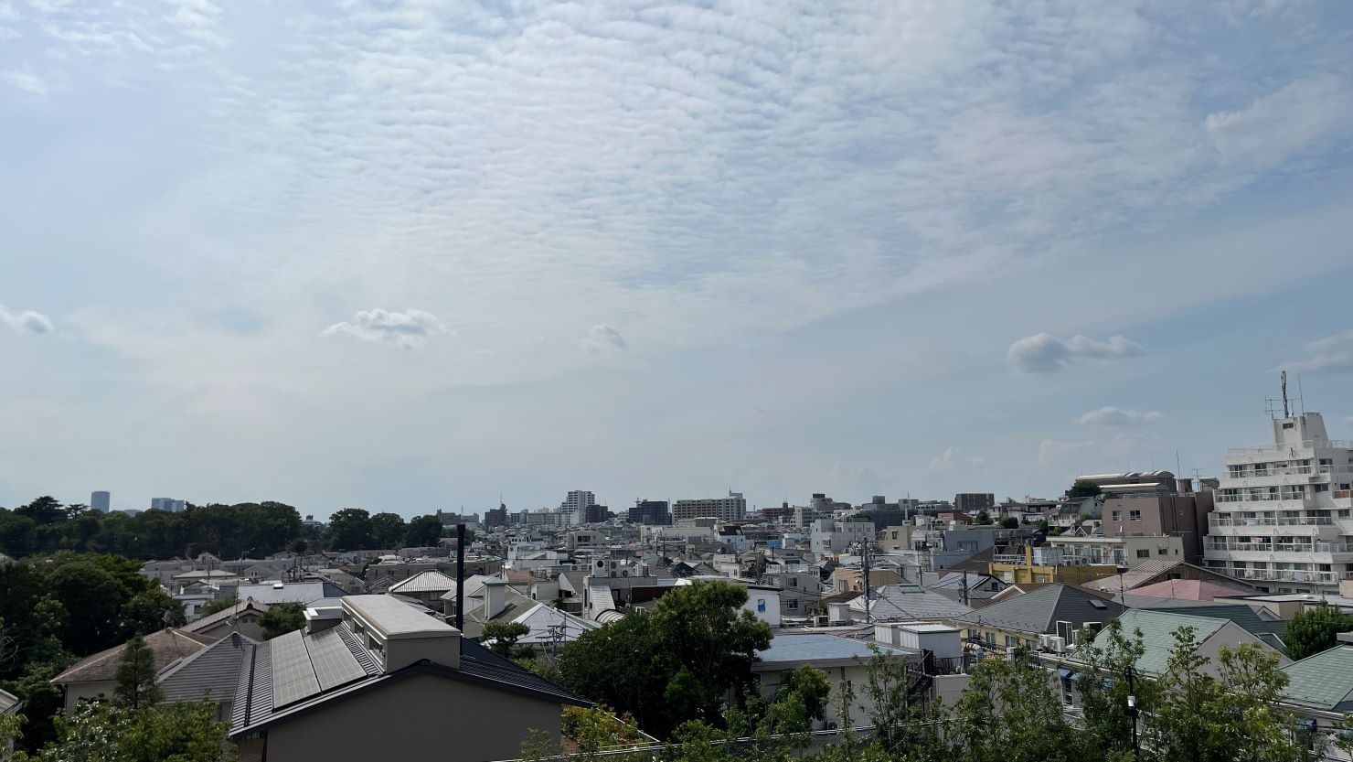 自由が丘 デュ アオーネのテラスから見下ろした自由が丘周辺の街並み