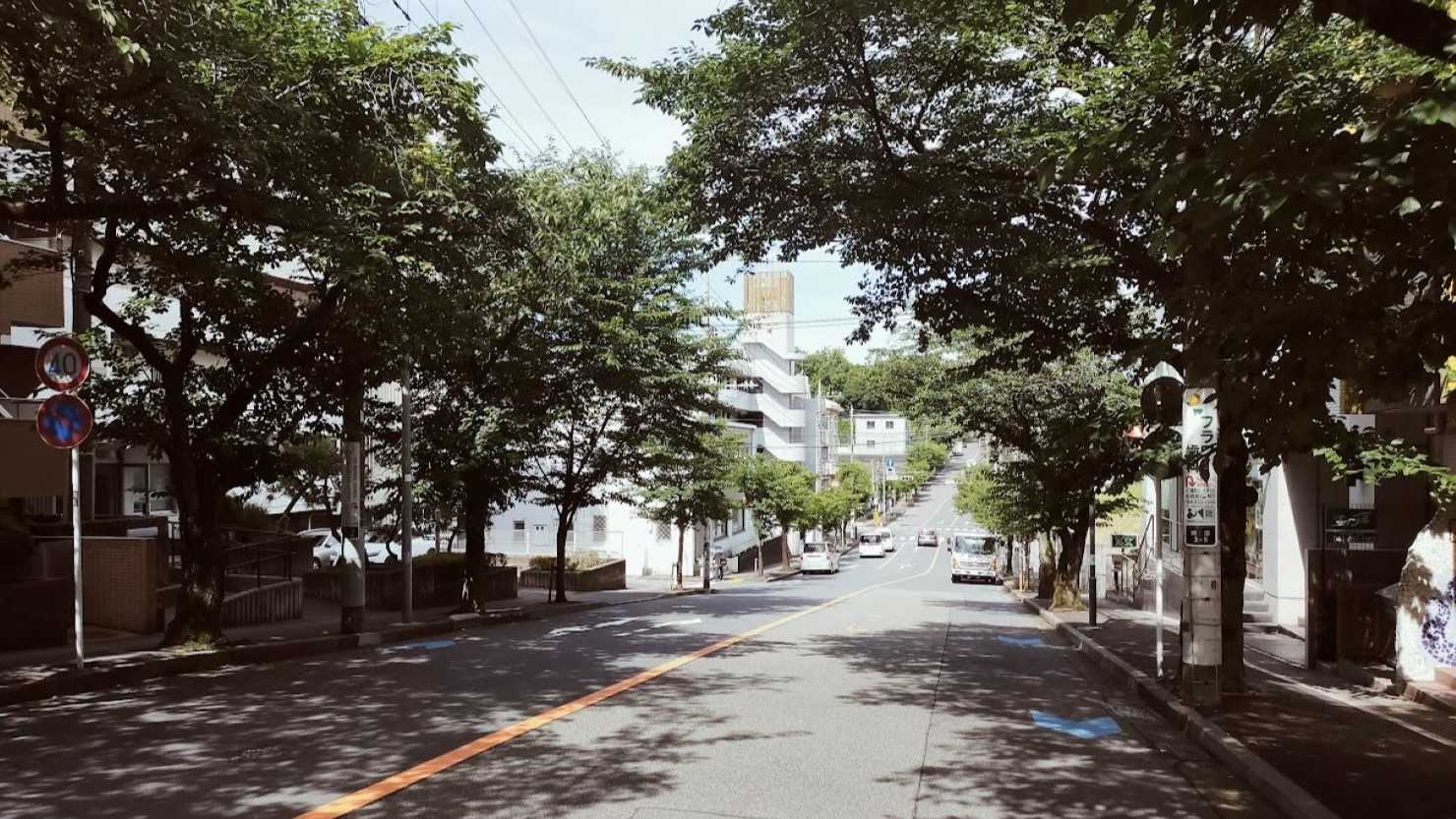 春待坂　夏のシーズンは緑生い茂る桜の木