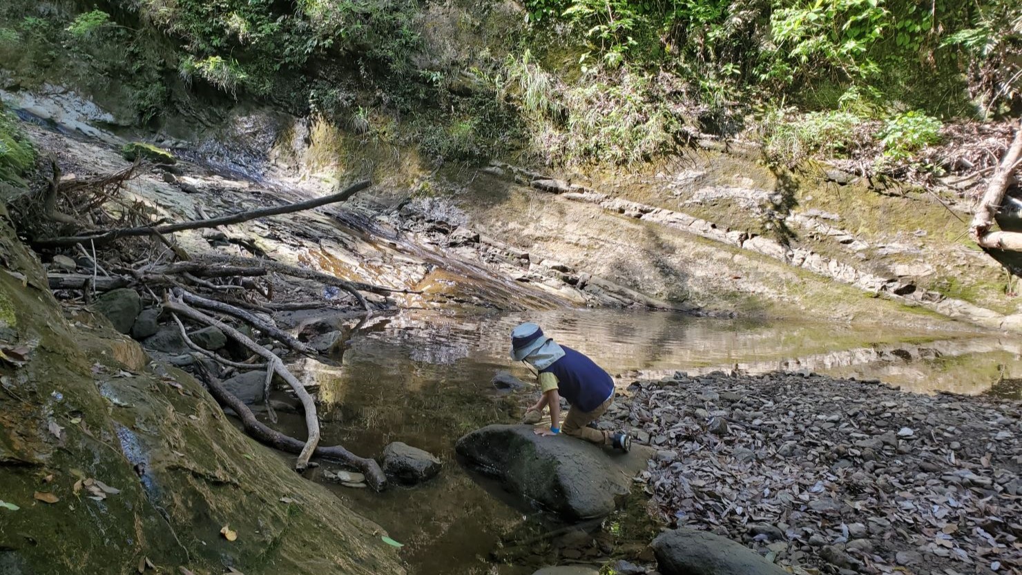 ロマンの森共和国