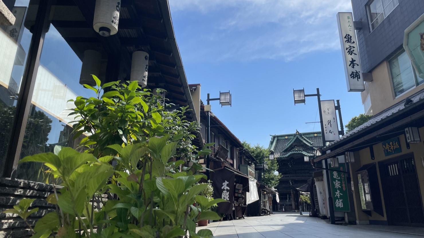 柴又帝釈天に続く参道