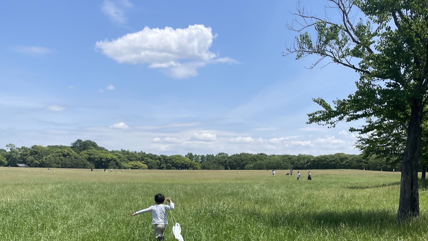 水元公園の広場