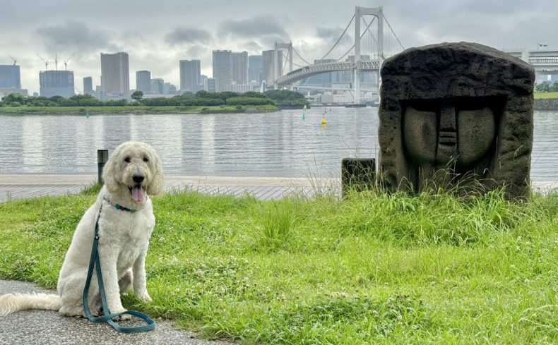 お台場海浜公園（港区）を愛犬と散歩しよう！～椎名前太の犬と楽しむ公園ガイド