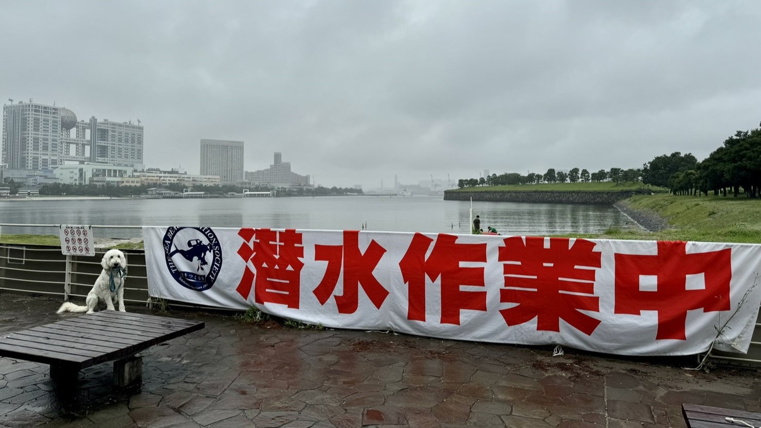 おだいばビーチに掲げられていた「潜水作業中」の横断幕。月に1回の割合で水質や生態などの調査を行っている