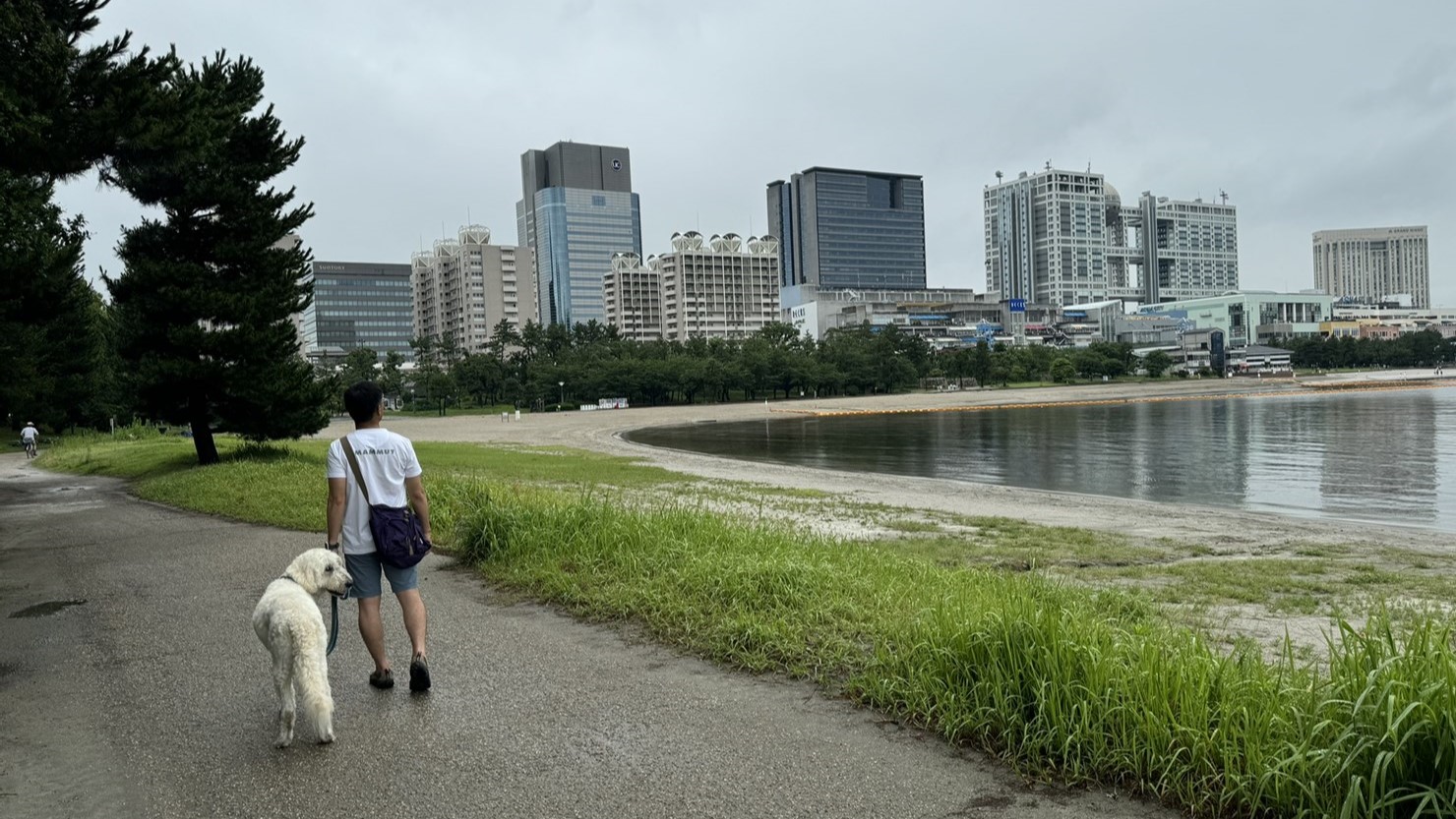 白い砂浜と高層ビル群の組み合わせはお台場海浜公園ならでは