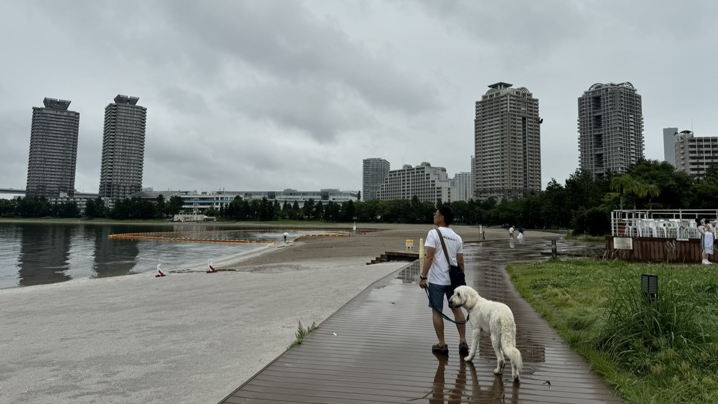 砂浜沿いのウッドデッキを歩いて北口駐車場へ戻る。正面には複数の高層マンションが並んでいた