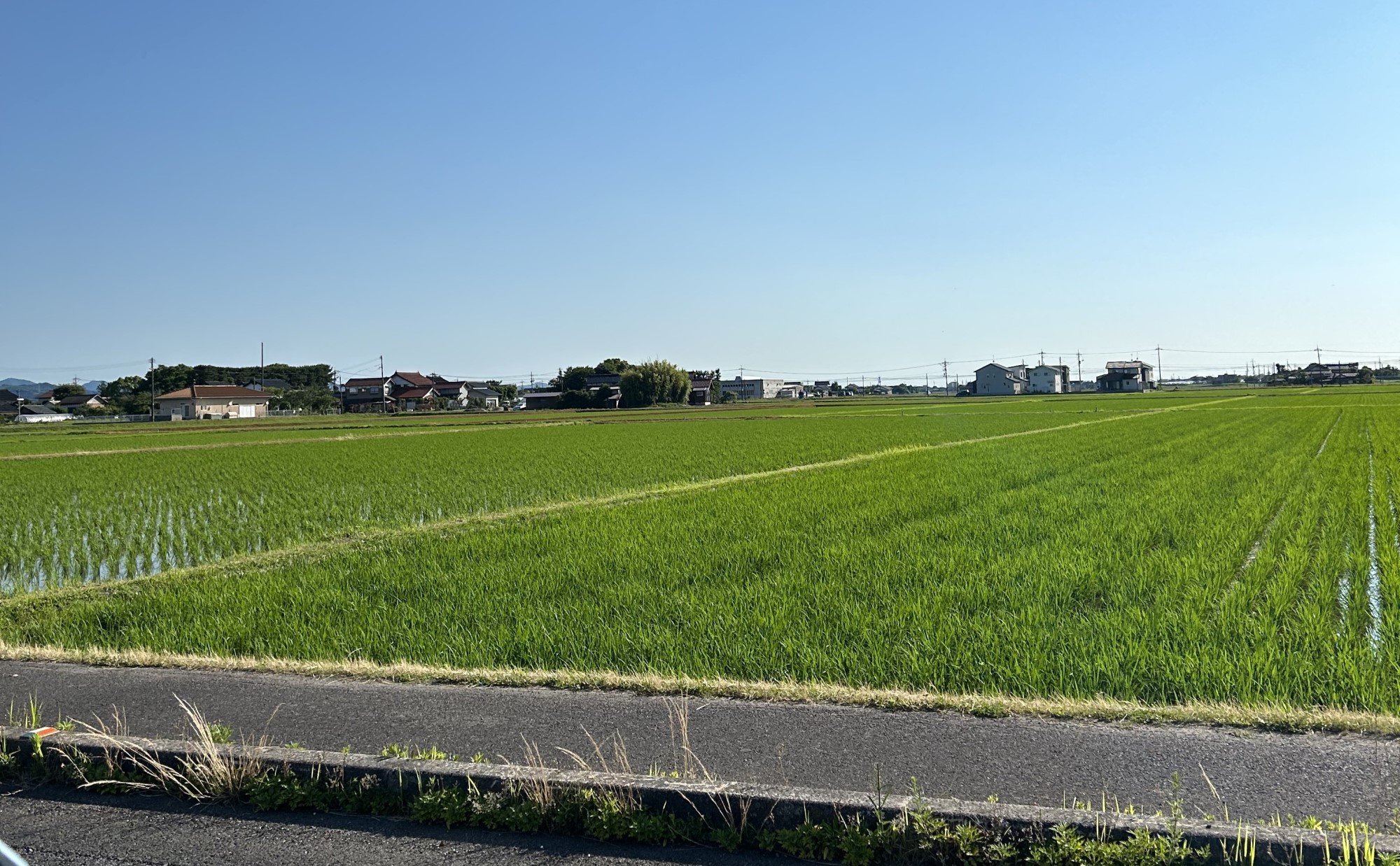 島根県「出雲市」でのびのび子育て体験談。     自然とベストな距離感で地方移住におすすめ