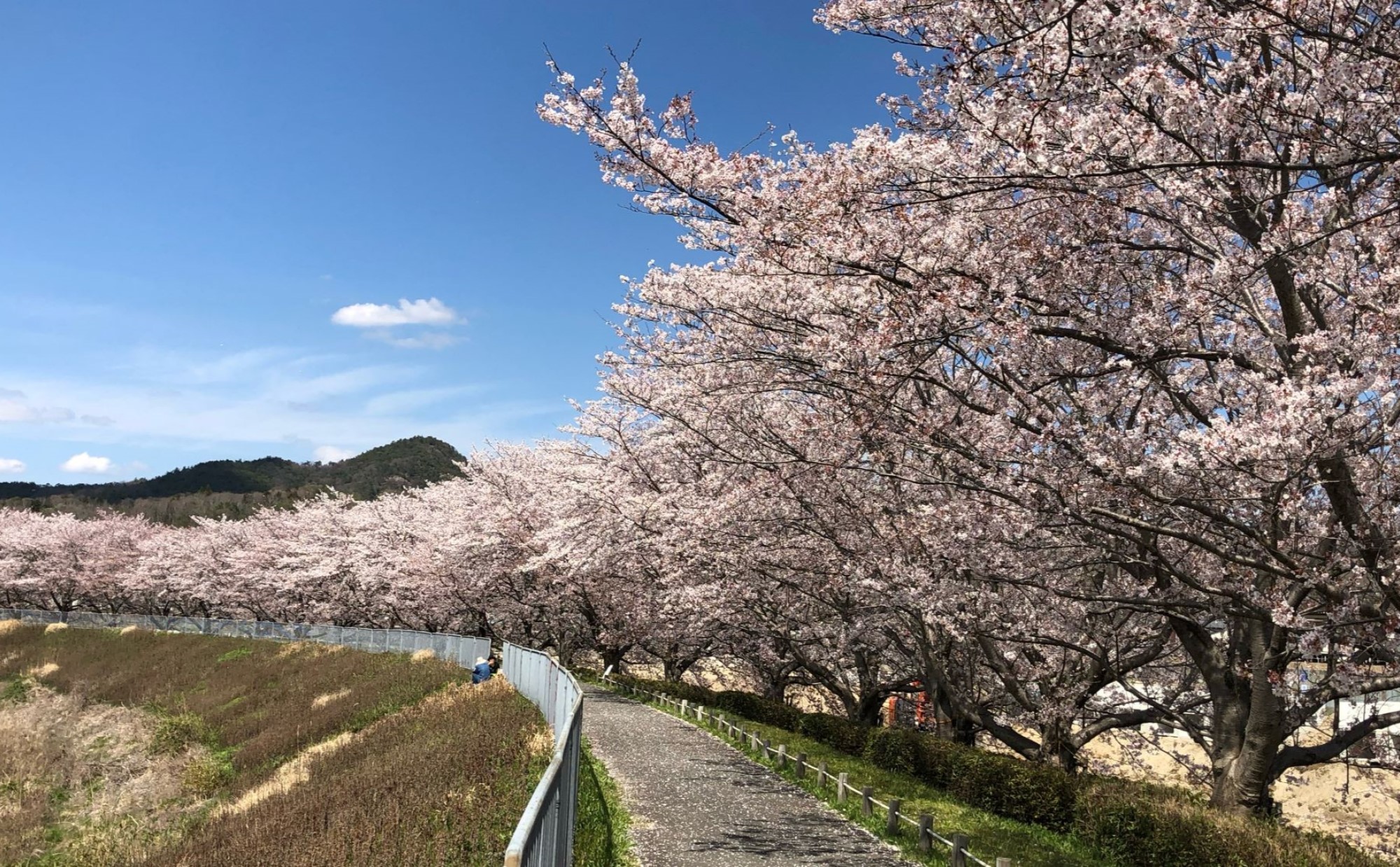 兵庫県「三田市」での子育て体験談。子育て環境や支援情報を住民が紹介