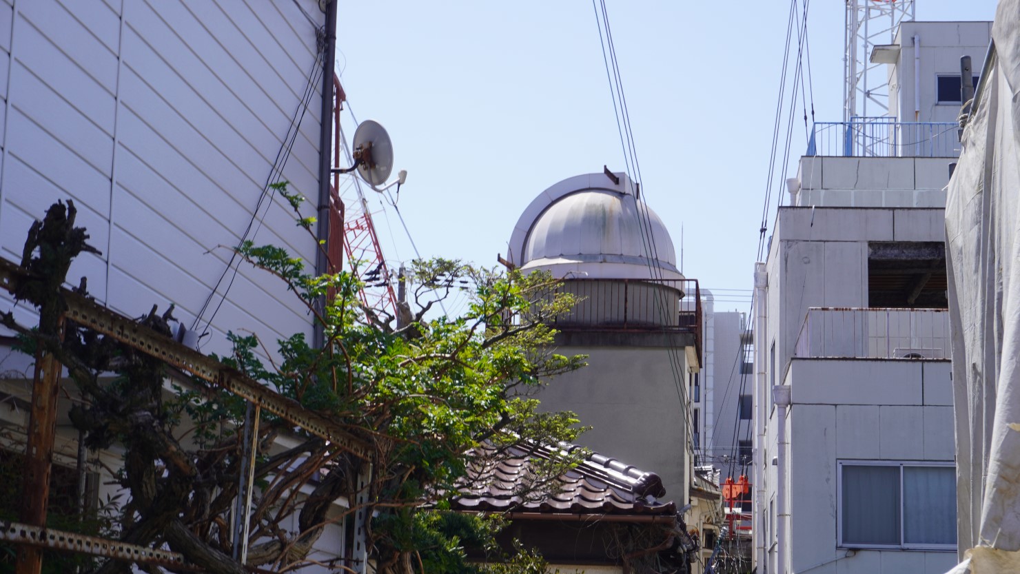 「おさんぽ畑」にお邪魔し、振り返るとプラネタリウムの建物が。筆者はそう言われても判然としないが、シオプロ小山さんはそうだという