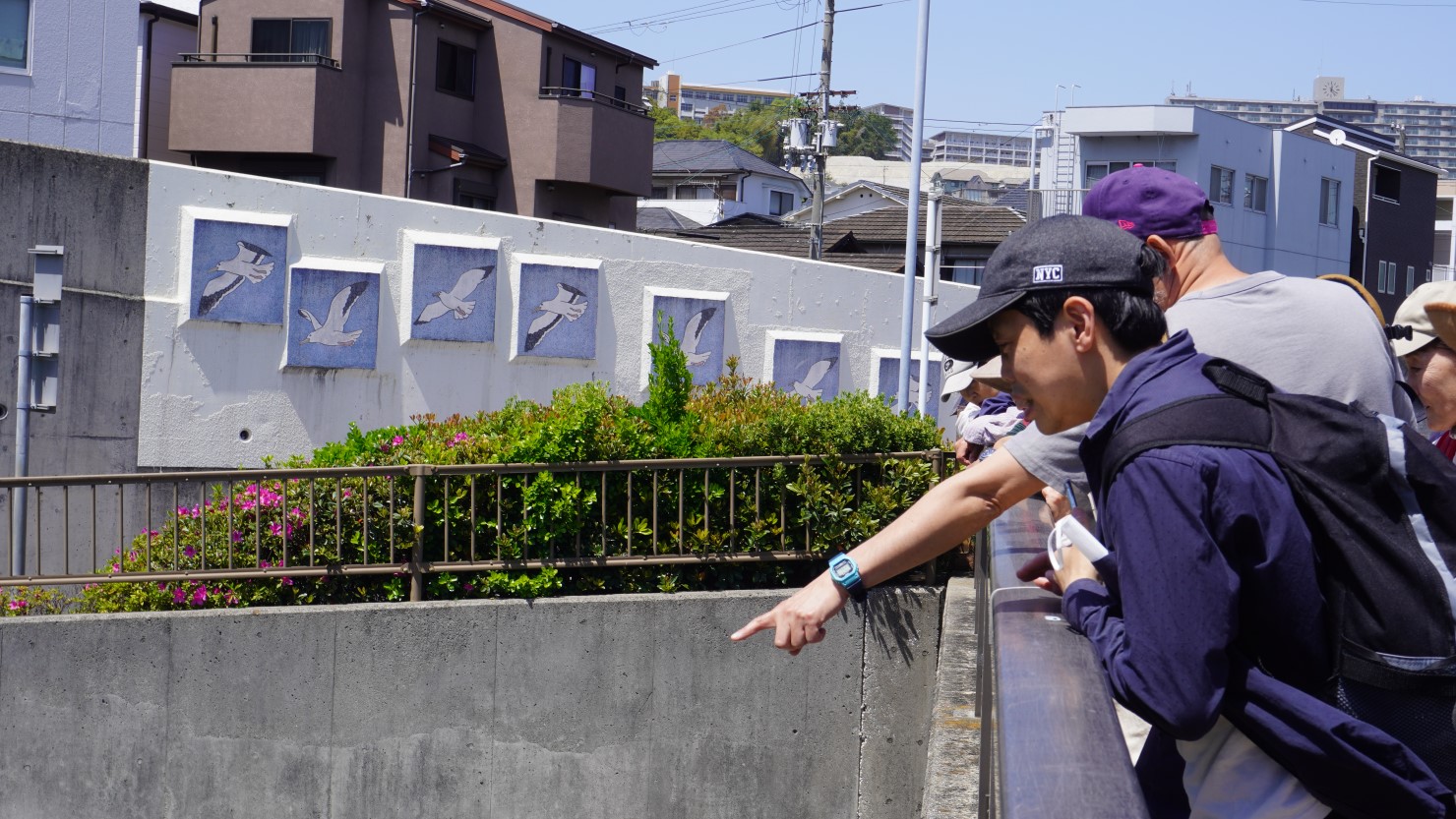 福田川の「コイorボラ論争」。異様に集合した魚を巡った論争がかれこれ15分ほど参加者さん同士で交わされていました。「あれはボラや」とはシオプロの森本アリさん