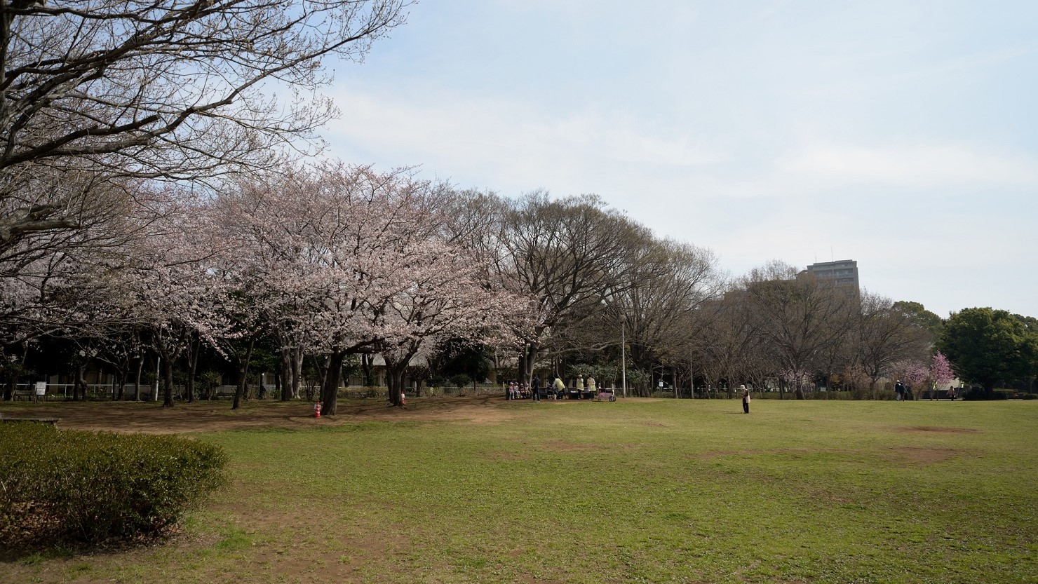 塚田駅の近くにある行田公園
