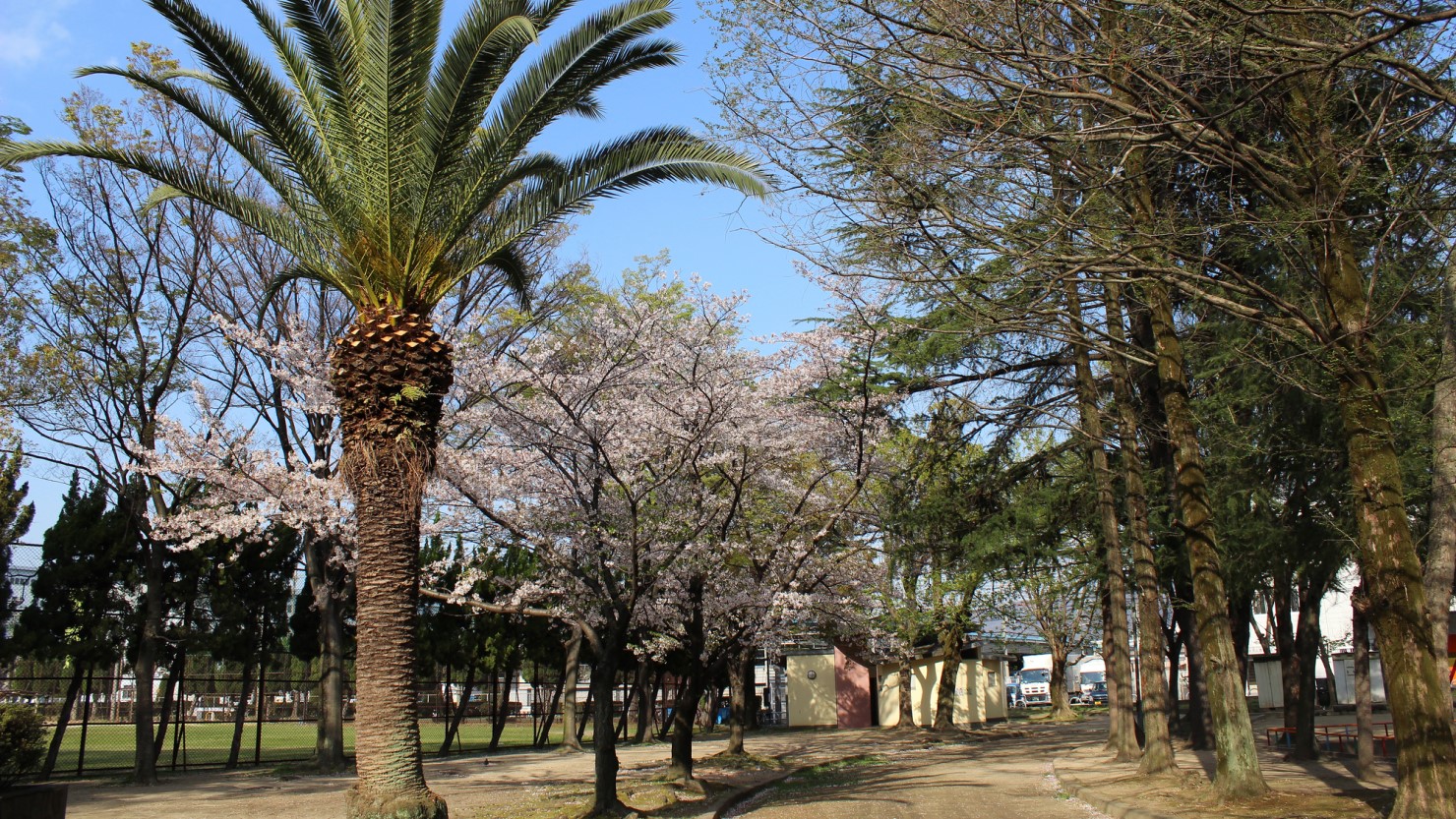 近くには四季の移り変わりが感じられる公園も多いです