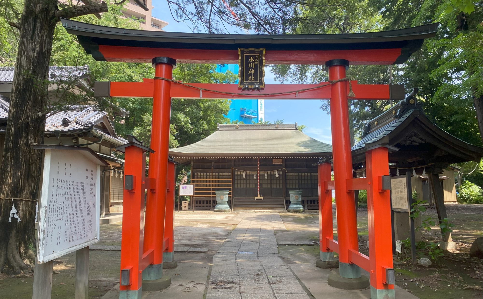 「南浦和」周辺を散歩してみよう！市内在住の私がおすすめする散歩・ウォーキングスポット6選