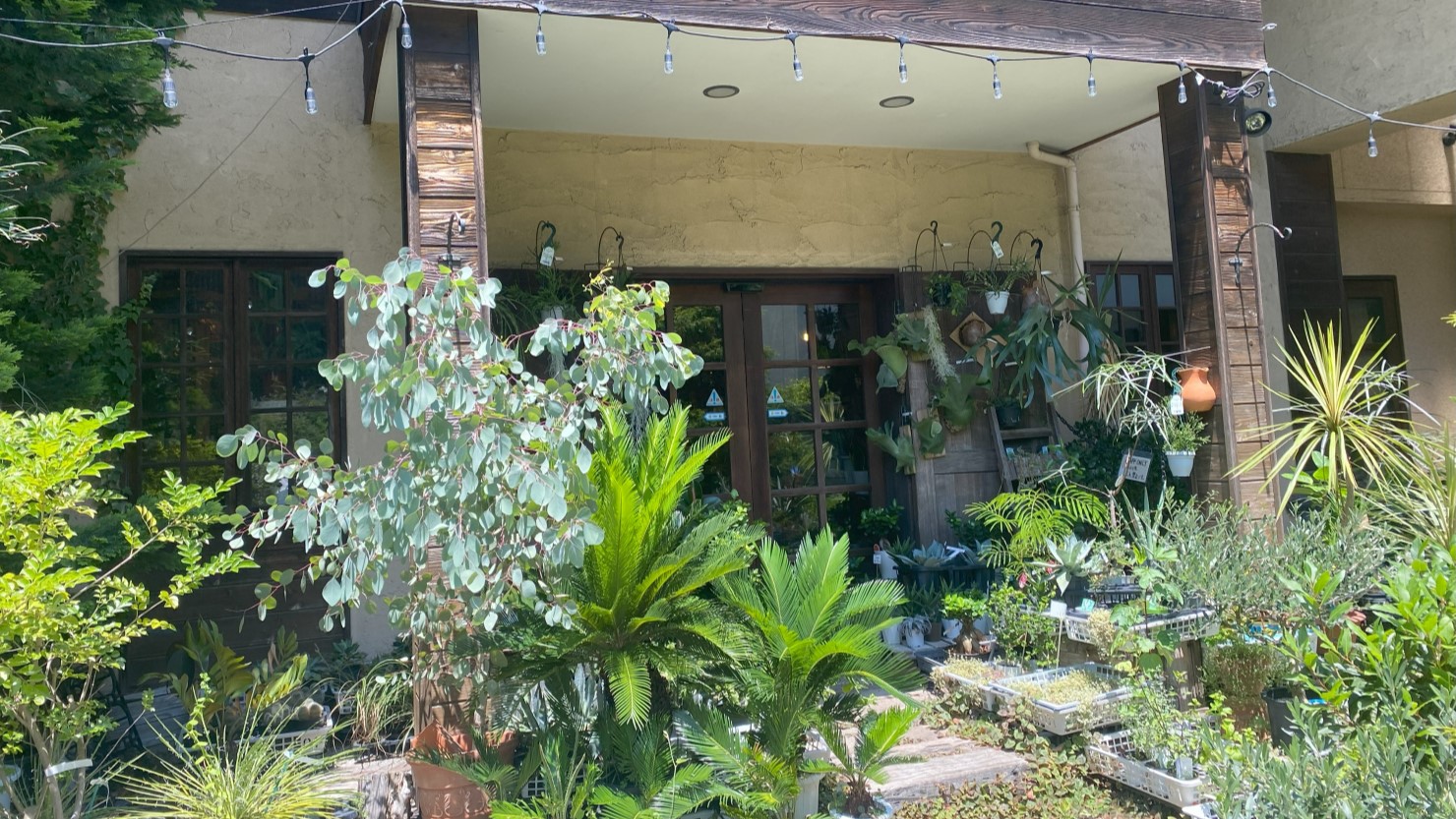 「園芸専科　花見鳥」の緑に覆われたエントランス