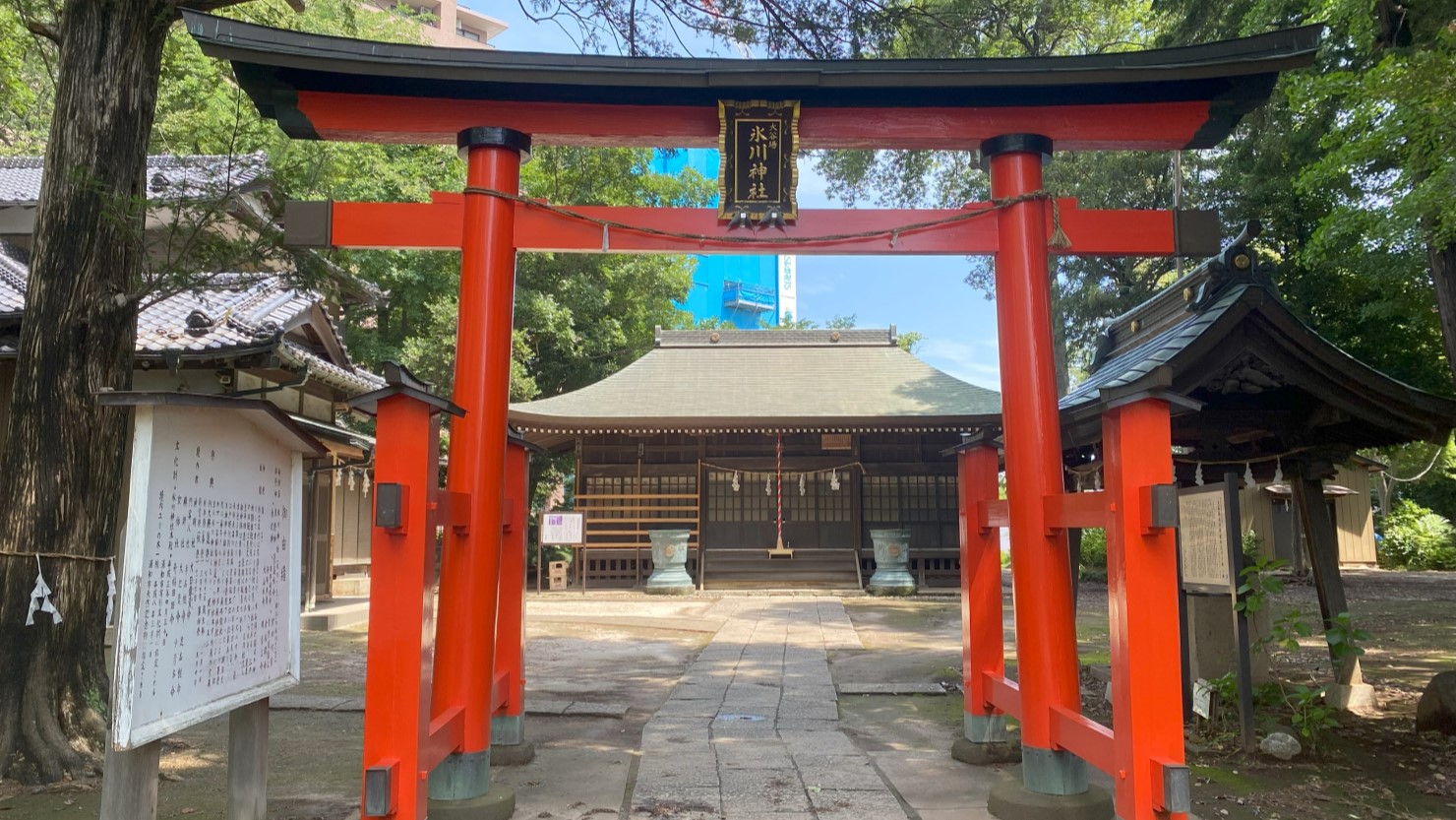季節の花々が楽しめる神社