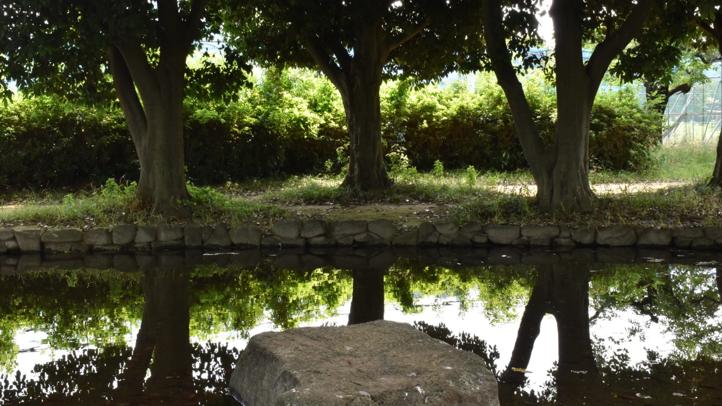 川崎市営稲田公園